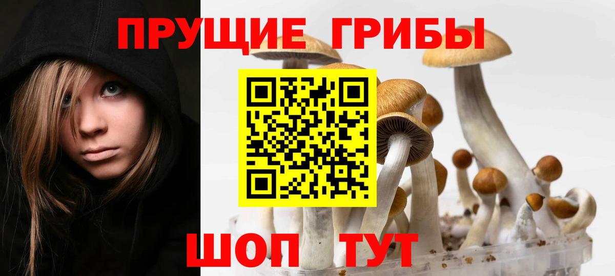 Галлюциногенные грибы GOLDEN TEACHER  Вход с VPN  Майский 